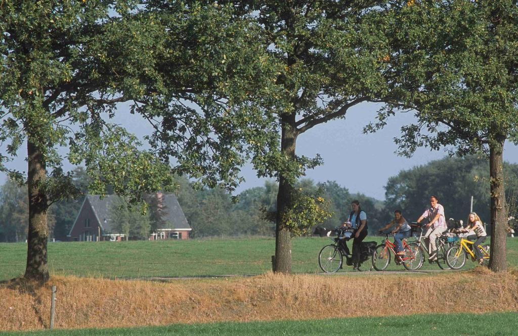 Camping Het Wieskamp Henxel Exterior foto